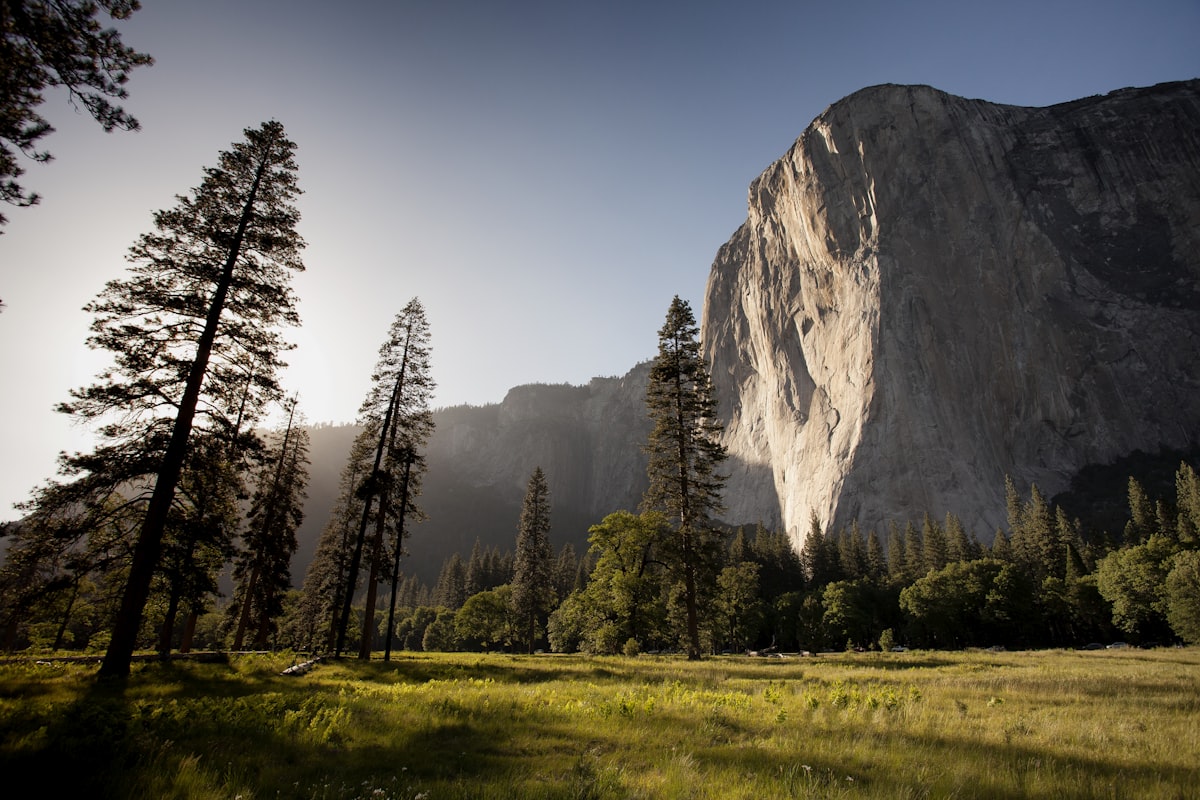 xây dựng trên Google: website quyết định ai được liên hệ trước